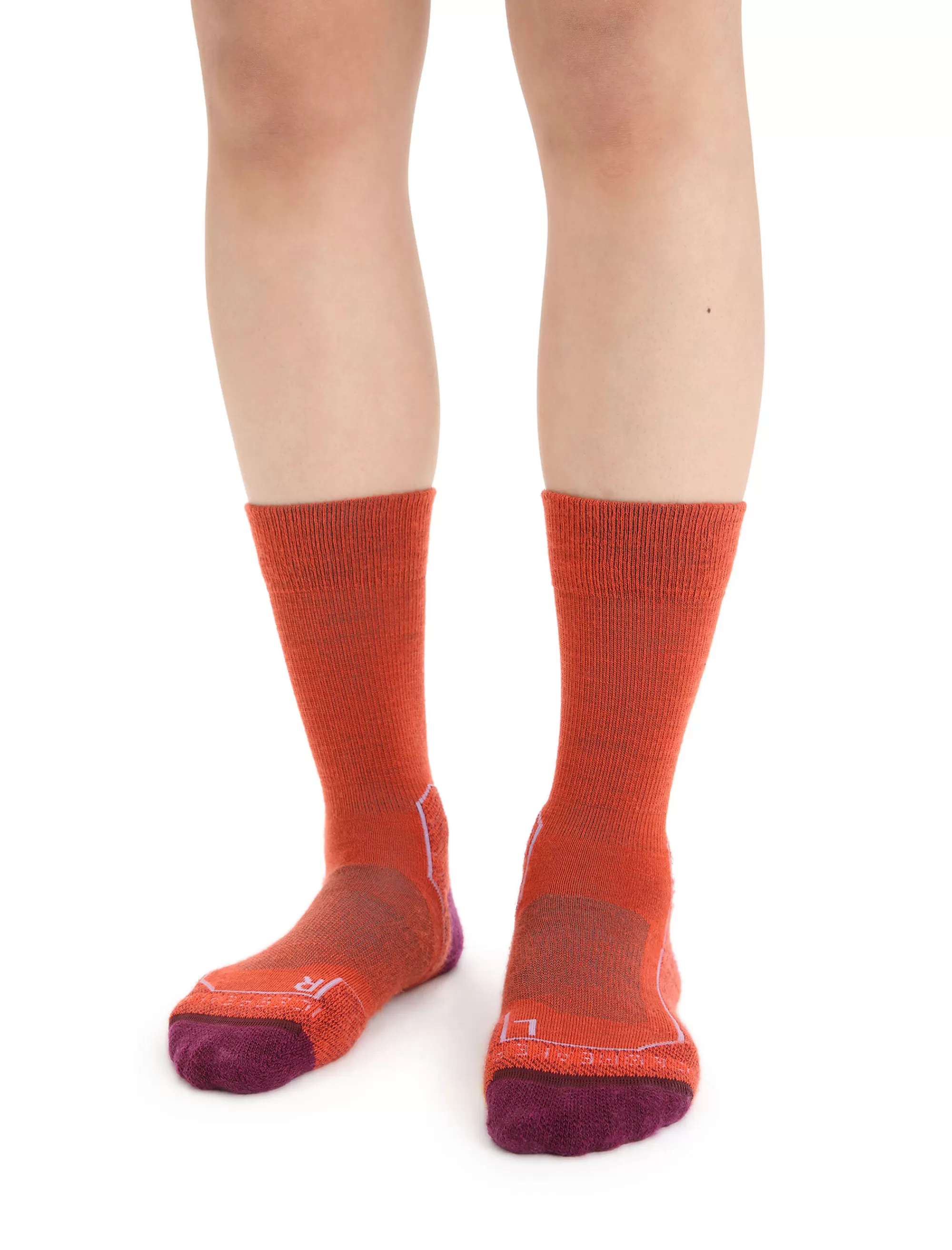 Icebreaker Chaussettes Merinos Grammage Leger Hike+ Femme Vibrant Earth Heather/Go Berry New