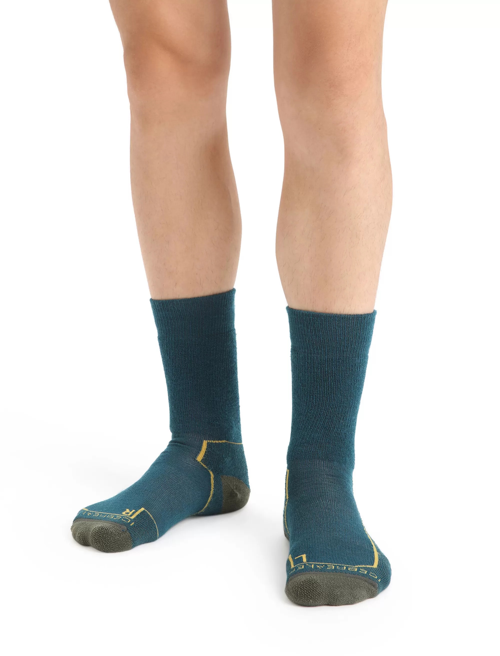 Icebreaker Chaussettes Merinos Grammage Moyen Hike+ Homme Green Glory/Loden Best