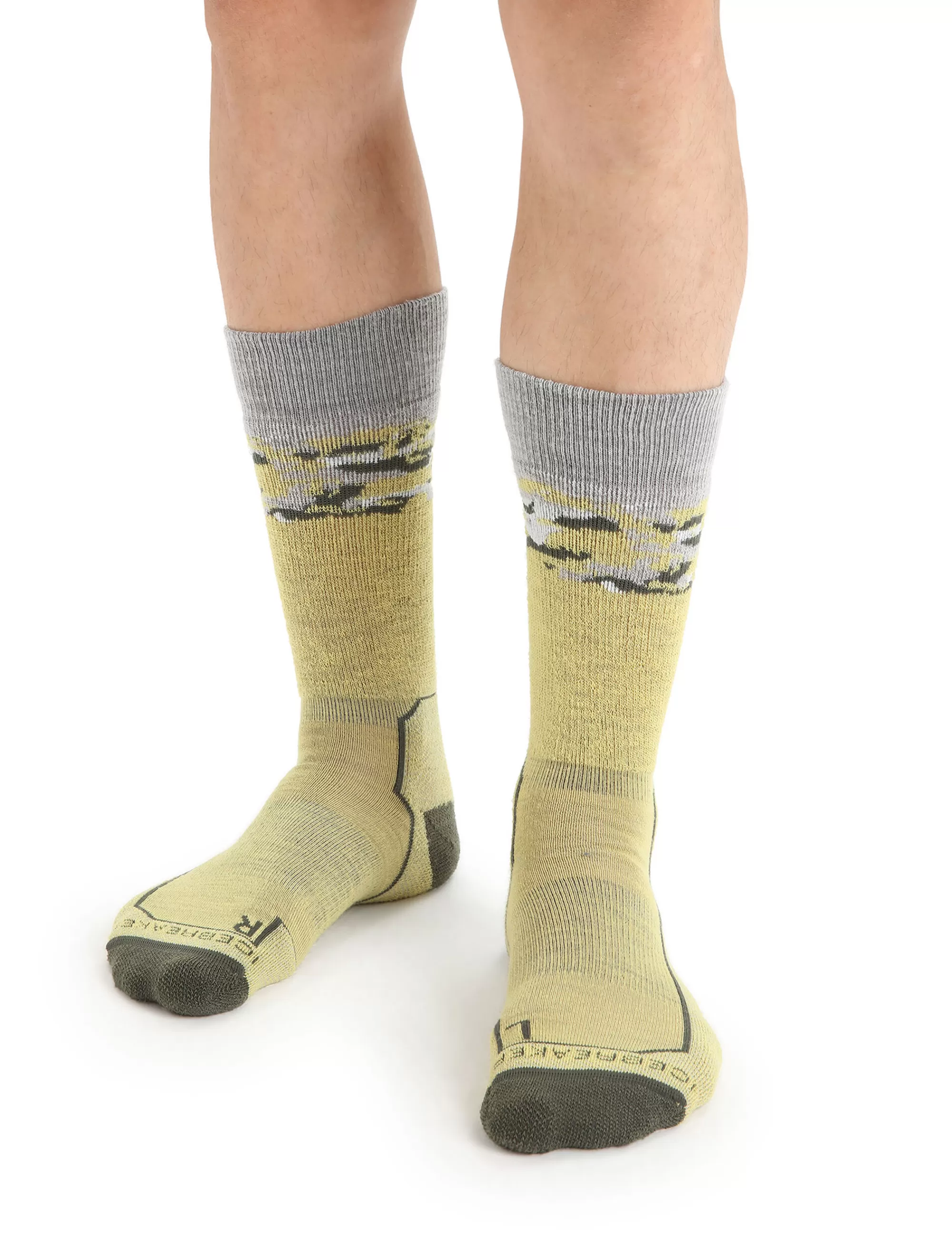 Icebreaker Chaussettes Merinos Grammage Moyen Hike+ Sedimentary Homme Summer/Loden Best